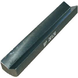 Einlegeprisma Typ P Produktbild